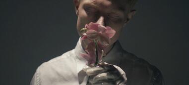 sinus video still